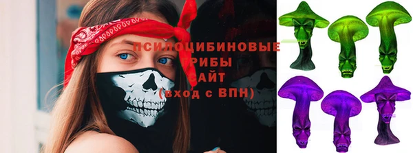 спиды Волосово